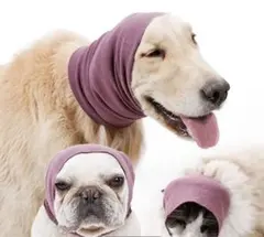 Item thumbnail for item 0a39dae8-71c1-4e4e-9ad2-ec52bd544e05