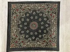 80s USA製 黒赤フェード バンダナ HAV-A-HANK RN15187