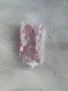 StrayKids SKZOO グミ&チャーム　トゥエッキ　チャンビン