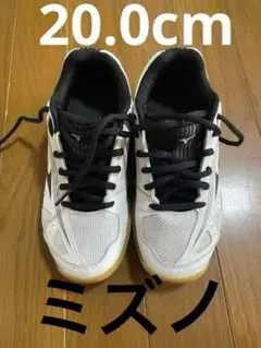 [中古美品]ミズノ　バレーボールシューズ　ジュニア　20.0