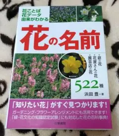 Item thumbnail for item 43df6e8a-0602-4fa1-9ac3-f54d527a215d