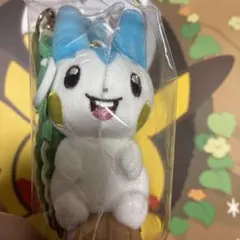 韓国 ポケモン アーバンフォレスト シークレットフォレスト パチリス