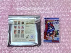 ジョジョの奇妙な冒険 コミックス表紙風アクリルマグネット 6部ストーンオーシャン