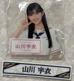 Item thumbnail for item 87ba6cc5-db1f-49b0-bb42-2eb65e308129