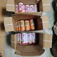 計48本、光食品　アップルサイダー、ぶどうサイダー、みかんサイダー、ヒカリ食品のサムネイル