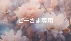 ビーさま専用