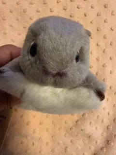やまね工房 ぬいぐるみ ムササビ 日本製のサムネイル