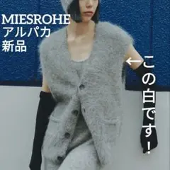 2025年最新】ミースロエ シャギーベストの人気アイテム - メルカリ