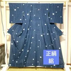 2025年最新】正絹夏着物絽の人気アイテム - メルカリ