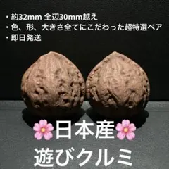 2026年最新】文玩核桃の人気アイテム - メルカリ