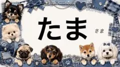 専用