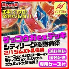 最安値‼️【3/17シティリーグ優勝】メガゲッコウガex デッキ 構築済み
