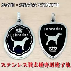 Item thumbnail for item 5ac36a61-dfa2-4591-a702-e7950a941d23