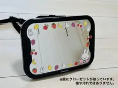 Item thumbnail for item 2c602db6-fd3d-4974-9ed5-558b2264ae0a