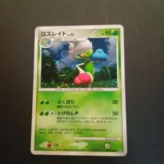 ひなたろす様 リクエスト 2点 まとめ商品