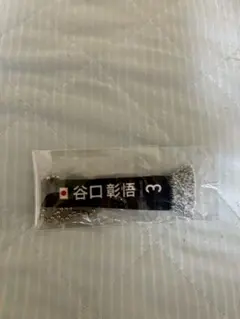 Item thumbnail for item 0b8ef8c8-66f1-494c-8f82-69a2dd34d2ef