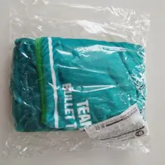 kumi様 リクエスト 2点 まとめ商品