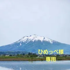 ひめっぺ様専用