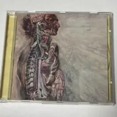 FEAR AND THE NERVOUS SYSTEM / st