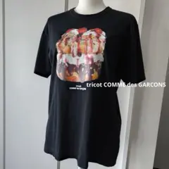 tricot COMME des GARCONSトリコ・コム デ ギャルソン半袖 - メルカリ
