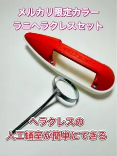 Lani Hercules 人工蛹室作成セット メルカリ限定カラー Lani Hercules 人工蛹室作成セット メルカリ限定カラー - メルカリ