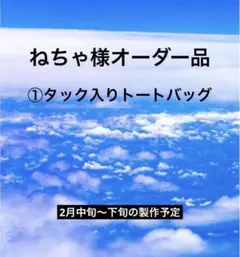 ねちゃ様専用ページ