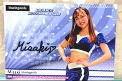 Item thumbnail for item ac2dd340-e5d0-4f63-a61b-fd20de3651a3