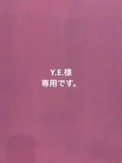Y.E.様 リクエスト 2点 まとめ商品