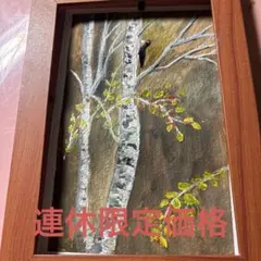白樺とクマゲラ原画 絵手紙 風景画 水彩画シルバーウィーク価格