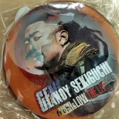 HiGH＆LOW ガチャ 関ロメンディー 缶バッチ