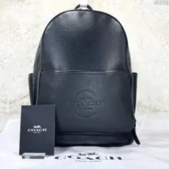 【極美品】コーチ 5388 トンプソン リュック ビジネスバッグ 黒 A4可