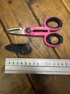 Item thumbnail for item 8aa5d0d1-461a-41b3-aad4-b71d1c3e8965