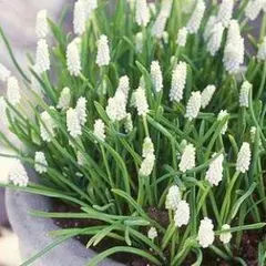 たまひろ様 リクエスト 3点 まとめ商品