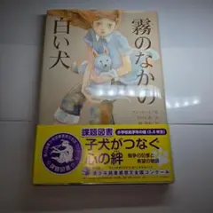 Item thumbnail for item 5f71a5e3-97a6-4c15-857e-2aa6d7873b6b