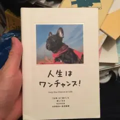 Item thumbnail for item 5eee4860-ff0f-49aa-940c-169af8b2207b