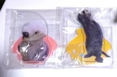 Item thumbnail for item 760e1d6a-27f0-489b-bc7f-931fd34d6ee0