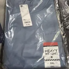 Item thumbnail for item 2fc49e36-c1cd-47f3-a983-333f1837436f