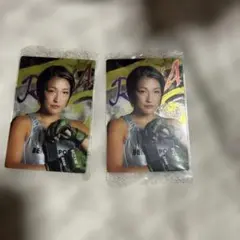 Item thumbnail for item 0905be31-238f-4f6d-95f7-31e6891d1ff1