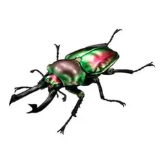 Item thumbnail for item 0502f8d2-b621-4f96-b546-6a0c6c88dc5f