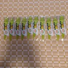 ゼスプリ ハーフカットスプーン 10本セット