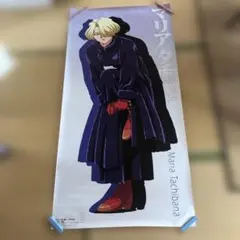 サクラ大戦 マリア・タチバナ 特大ポスター 約174×85cm 非売品 y164 サクラ大戦 マリア・タチバナ 生写真 ブロマイド - メルカリ