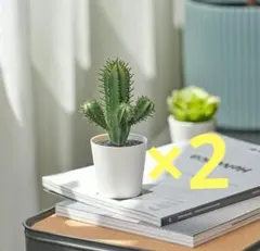 《新品2個セット》IKEA フェイカ 人工観葉植物　サボテンのサムネイル