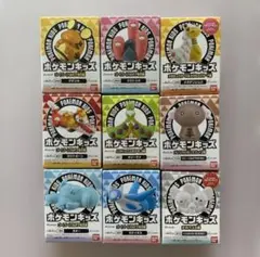 ポケモンキッズ 9個セット オリーヴァ ウパー
