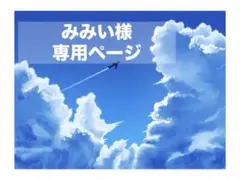 みみい様専用ページ
