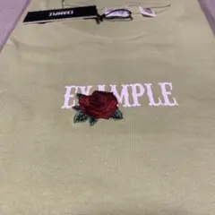 EXAMPLE 刺繍バラ Tシャツ XXL ライトグリーンのサムネイル