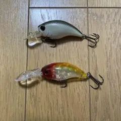 エバーグリーン：ワイルドハンチのサムネイル