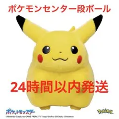 ポケモン　ぬいぐるみ　おかえり！ピカチュウ1/1 ポケットモンスター