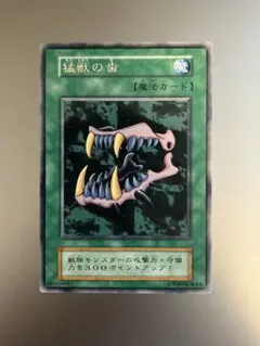 【希少型番】猛獣の歯 字レア