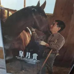 BERLIN 中谷美紀 永瀬正敏 直筆サイン入りポスター B2サイズ - メルカリ