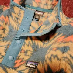 patagonia スナップt
